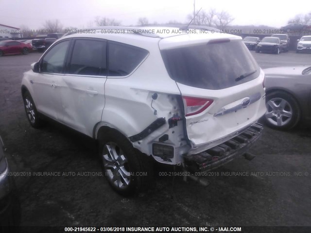 1FMCU9J96EUB00960 - 2014 FORD ESCAPE TITANIUM WHITE photo 3