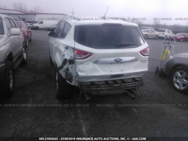 1FMCU9J96EUB00960 - 2014 FORD ESCAPE TITANIUM WHITE photo 6