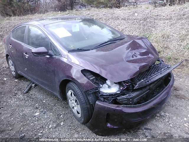 3KPFK4A77HE130870 - 2017 KIA FORTE LX BURGUNDY photo 1