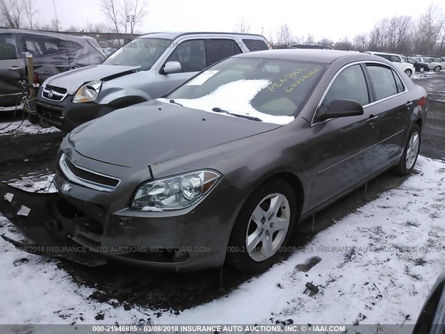 1G1ZB5E18BF159521 - 2011 CHEVROLET MALIBU LS 棕色 照片 2