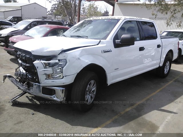 1FTEW1CG7FFA30461 - 2015 FORD F150 SUPERCREW WHITE photo 2