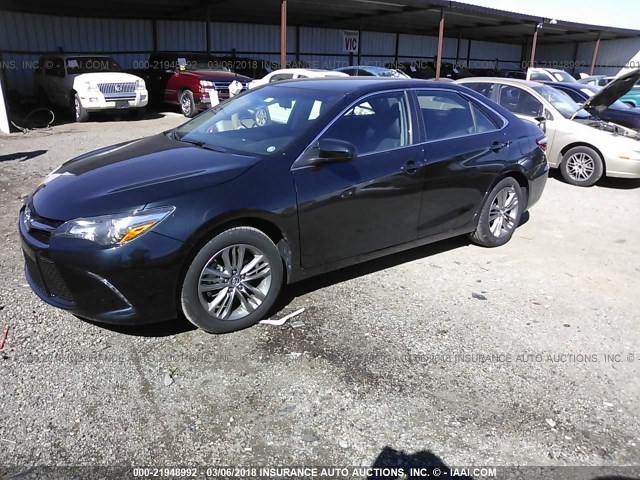 4T1BF1FK9GU555372 - 2016 TOYOTA CAMRY LE/XLE/SE/XSE BLACK photo 2