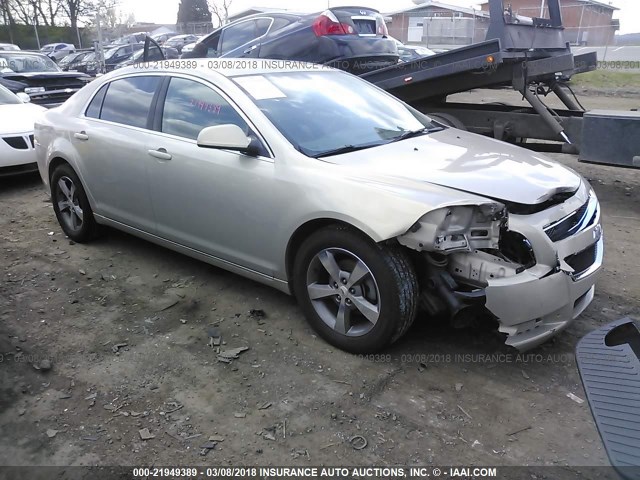 1G1ZC5EU4BF143534 - 2011 CHEVROLET MALIBU 1LT 金色 照片 1