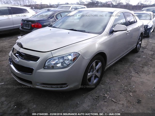1G1ZC5EU4BF143534 - 2011 CHEVROLET MALIBU 1LT 金色 照片 2