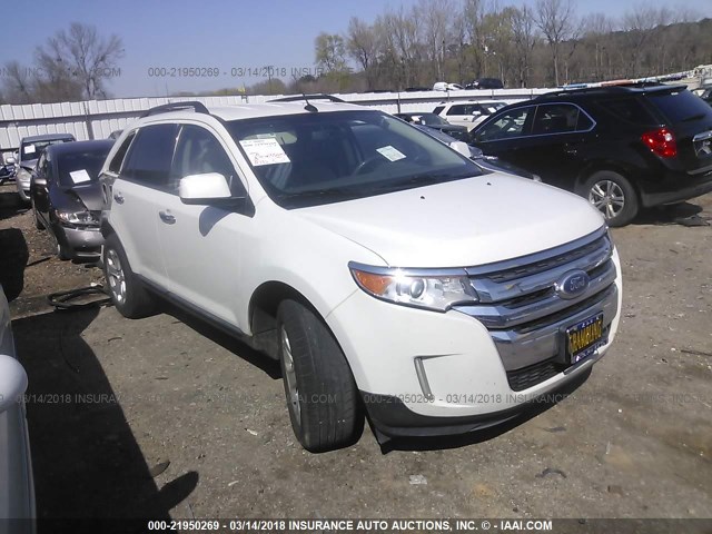 2FMDK3JC8BBA67741 - 2011 FORD EDGE SEL WHITE photo 1