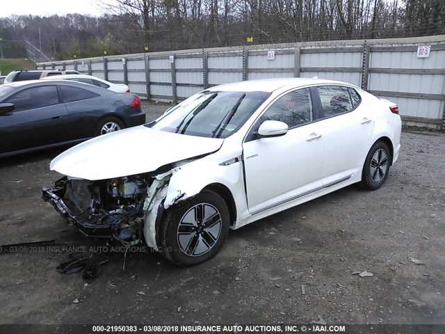 KNAGM4AD6D5058423 - 2013 KIA OPTIMA HYBRID WHITE photo 2