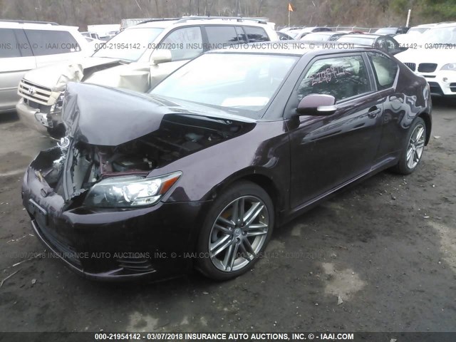 JTKJF5C73B3013005 - 2011 TOYOTA SCION TC 紫色 照片 2