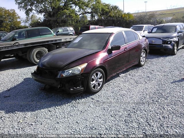 JHMCP26478C024691 - 2008 HONDA ACCORD LXP BURGUNDY photo 2