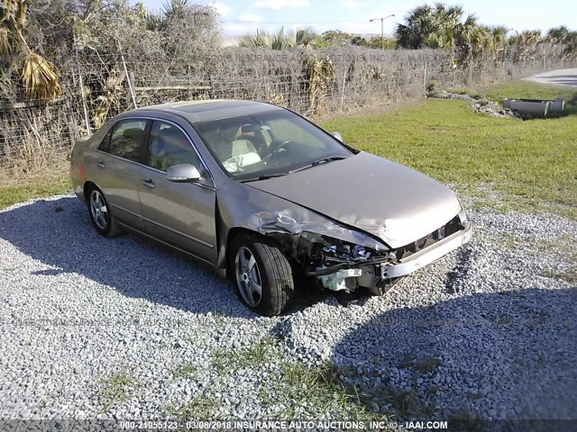 JHMCN365X6C003190 - 2006 HONDA ACCORD HYBRID GOLD photo 1