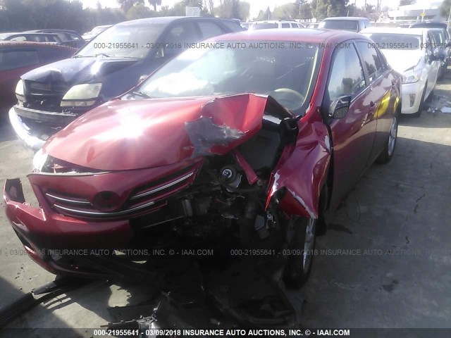2T1BU4EE7DC968763 - 2013 TOYOTA COROLLA S/LE RED photo 2