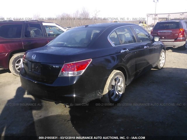 1HGCP36898A067565 - 2008 HONDA ACCORD EXL BLACK photo 4