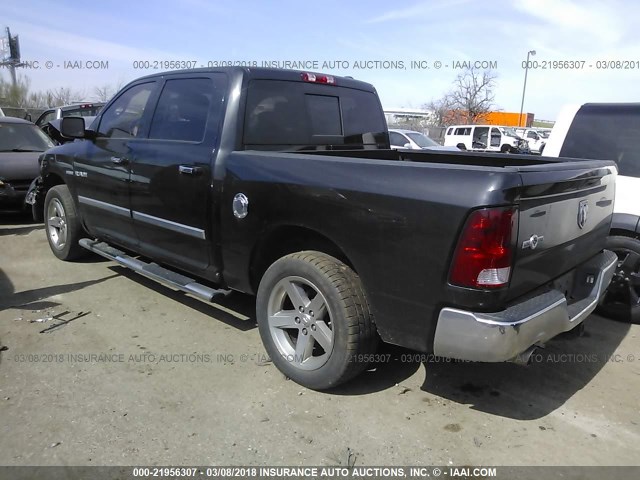 1D3HB13T59S767215 - 2009 DODGE RAM 1500 BLACK photo 3