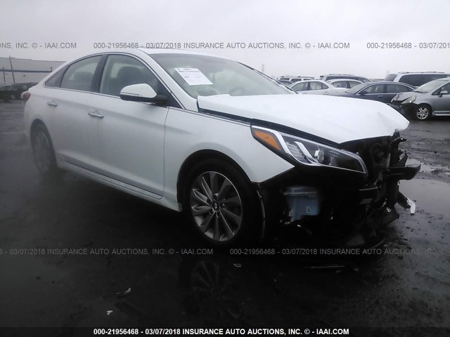 5NPE34AF4GH382148 - 2016 HYUNDAI SONATA SPORT/LIMITED WHITE photo 1