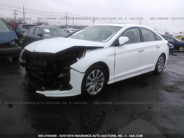 5NPE34AF4GH382148 - 2016 HYUNDAI SONATA SPORT/LIMITED WHITE photo 2