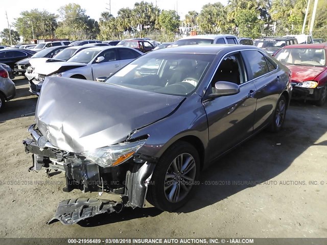 4T1BF1FK6HU413806 - 2017 TOYOTA CAMRY LE/XLE/SE/XSE GRAY photo 2