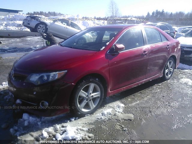 4T1BF1FK0CU622791 - 2012 TOYOTA CAMRY SE/LE/XLE RED photo 2