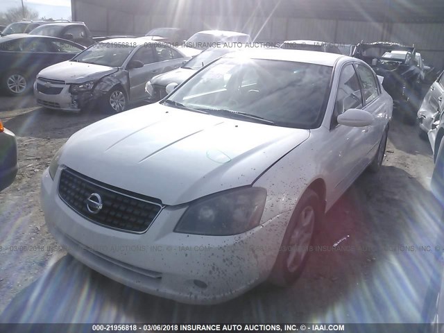 1N4AL11D75C288002 - 2005 NISSAN ALTIMA S/SL WHITE photo 2