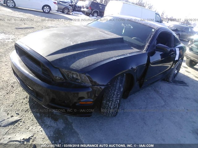 1ZVBP8CF6D5221580 - 2013 FORD MUSTANG GT BLACK photo 2