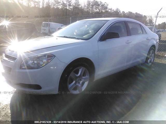 1G1ZB5EB6AF204222 - 2010 CHEVROLET MALIBU LS 白色 照片 2