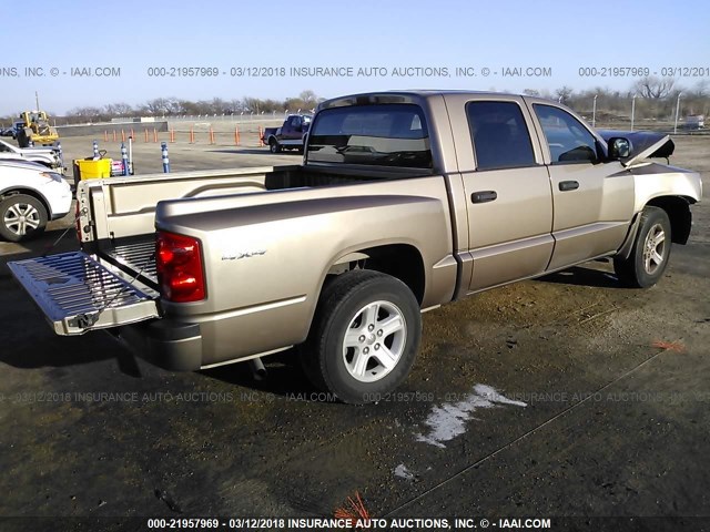 1D7RW3GK0AS225951 - 2010 DODGE DAKOTA SXT TAN photo 4