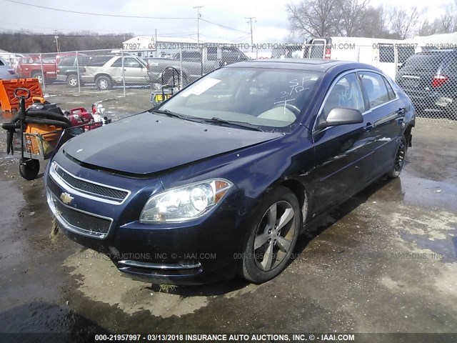 1G1ZG57BX9F250999 - 2009 CHEVROLET MALIBU LS 蓝色 照片 2