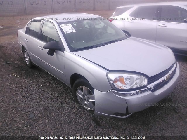 1G1ZT52805F252679 - 2005 CHEVROLET MALIBU LS ვერცხლისფერი ფოტო 1