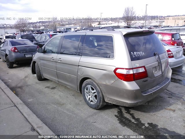5FNRL38725B082176 - 2005 HONDA ODYSSEY EXL ოქროსფერი ფოტო 3