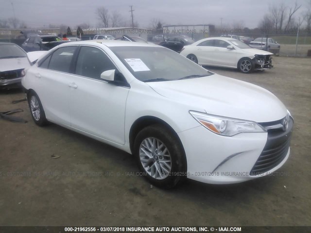 4T1BF1FK4GU193886 - 2016 TOYOTA CAMRY LE/XLE/SE/XSE WHITE photo 1