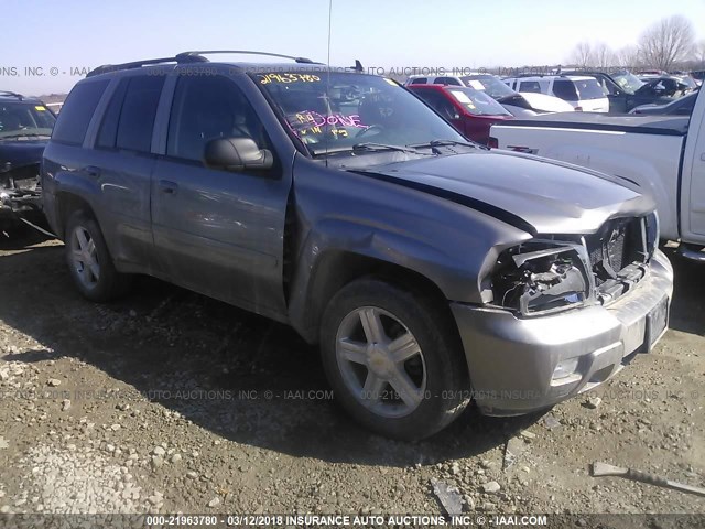 1GNDT13S472249838 - 2007 CHEVROLET TRAILBLAZER LS/LT SILVER photo 1