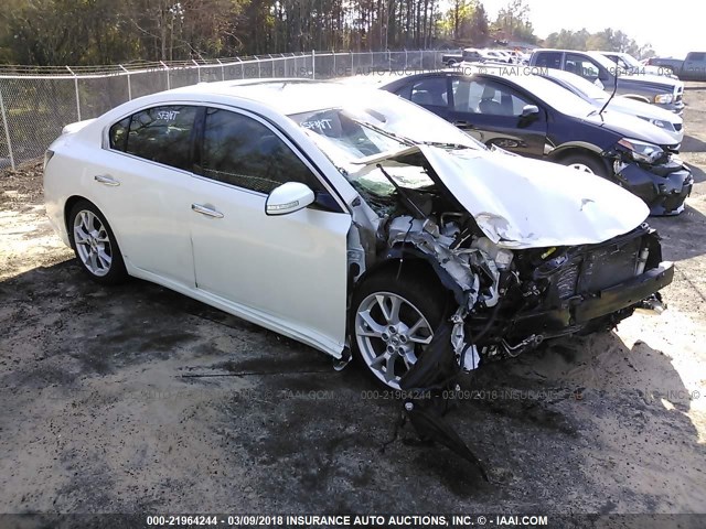 1N4AA5AP1EC491314 - 2014 NISSAN MAXIMA S/SV WHITE photo 1