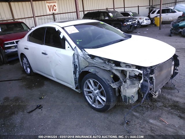 1N4AA5AP4BC856712 - 2011 NISSAN MAXIMA S/SV WHITE photo 1