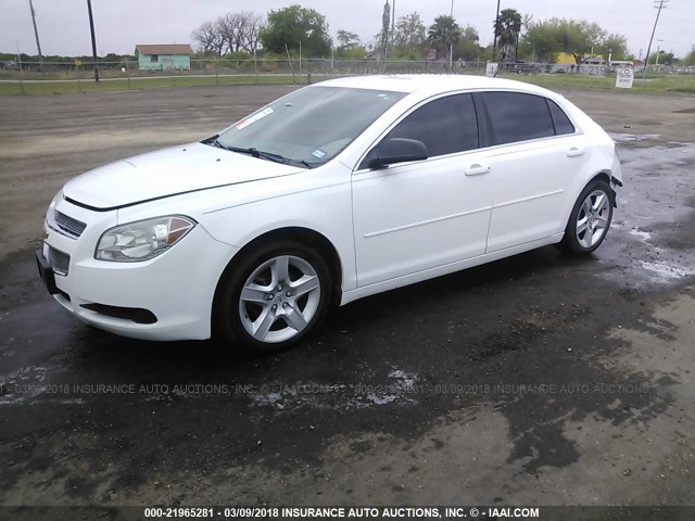 1G1ZB5E15BF212367 - 2011 CHEVROLET MALIBU LS 白色 照片 2