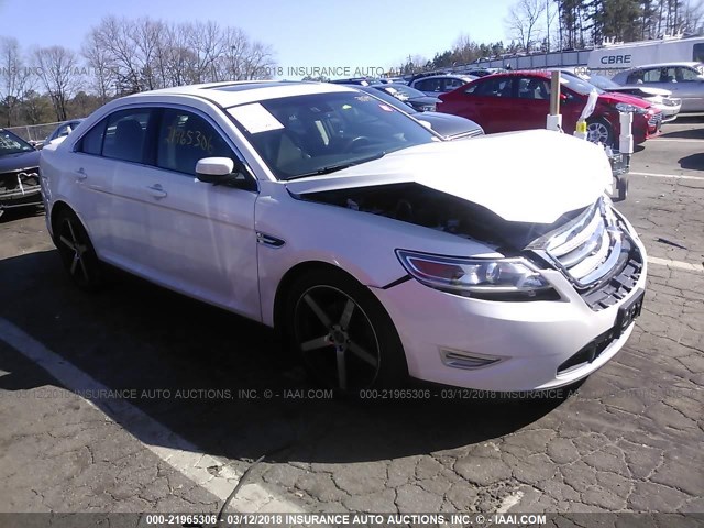 1FAHP2KT3AG131195 - 2010 FORD TAURUS SHO WHITE photo 1