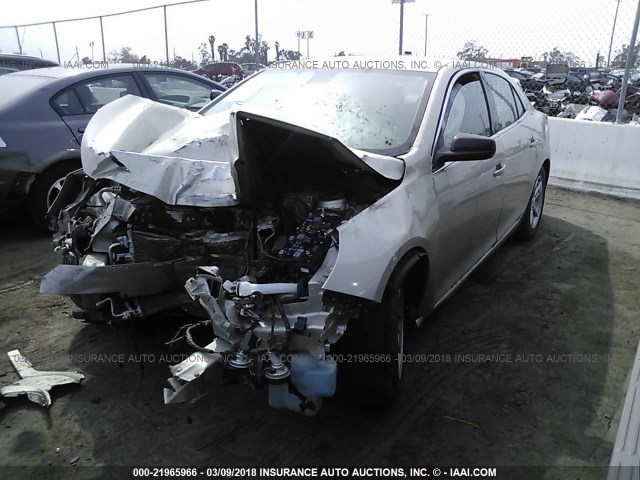 1G11A5SL6FF266062 - 2015 CHEVROLET MALIBU LS 金色 照片 2