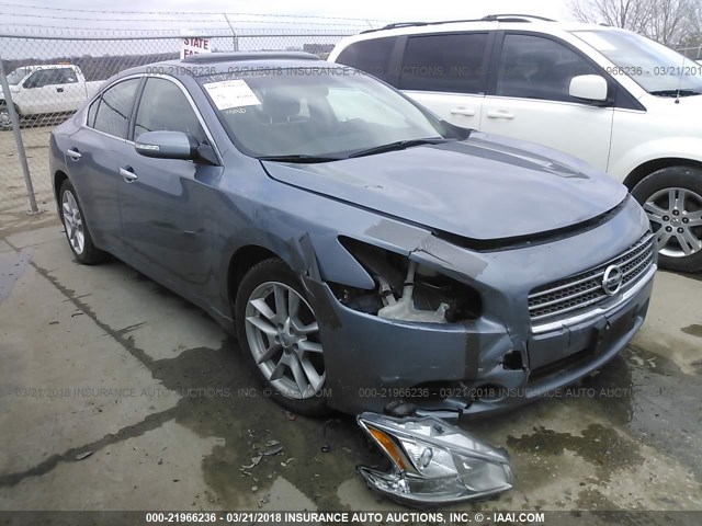 1N4AA5AP5BC810208 - 2011 NISSAN MAXIMA S/SV GRAY photo 1