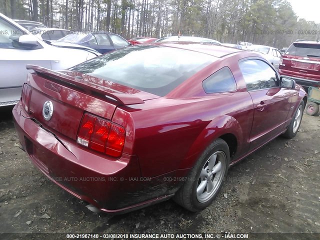 1ZVHT82H985107118 - 2008 FORD MUSTANG GT RED photo 4