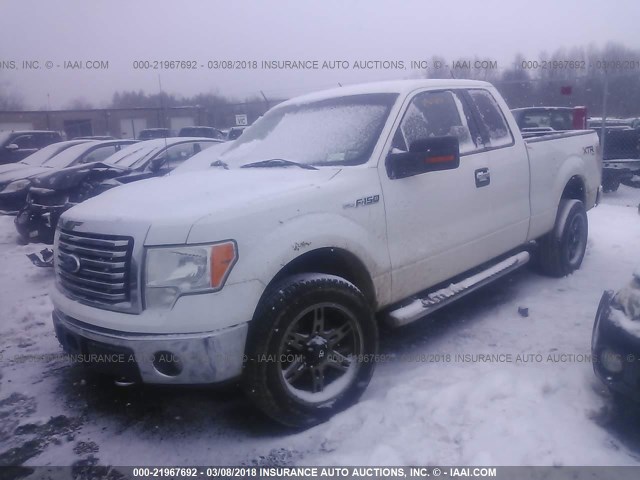 1FTEX1E81AFB19602 - 2010 FORD F150 SUPER CAB WHITE photo 2