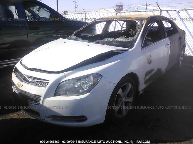 1G1ZC5E17BF300298 - 2011 CHEVROLET MALIBU 1LT 白色 照片 2