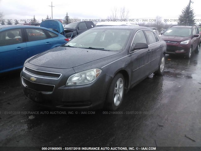 1G1ZB5EB8AF259707 - 2010 CHEVROLET MALIBU LS 灰色 照片 2
