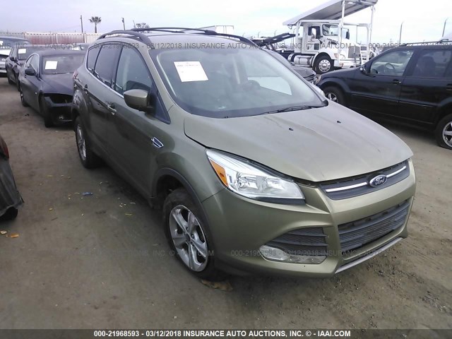 1FMCU0G99DUD80147 - 2013 FORD ESCAPE SE GREEN photo 1