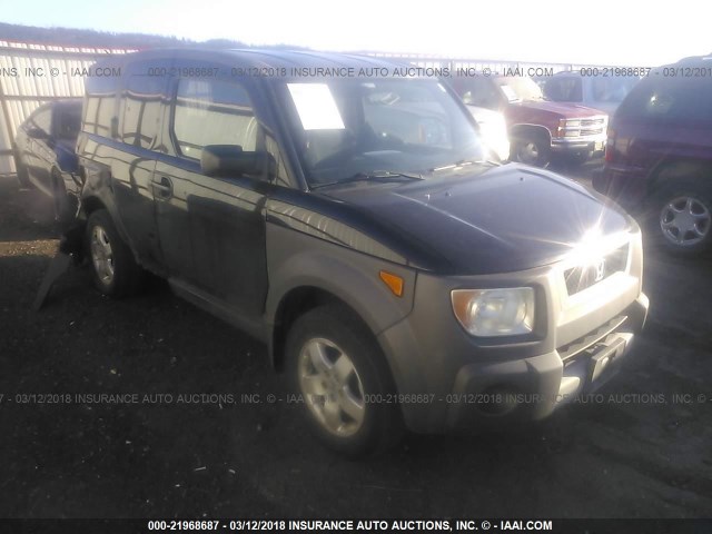 5J6YH27593L024352 - 2003 HONDA ELEMENT EX BLACK photo 1