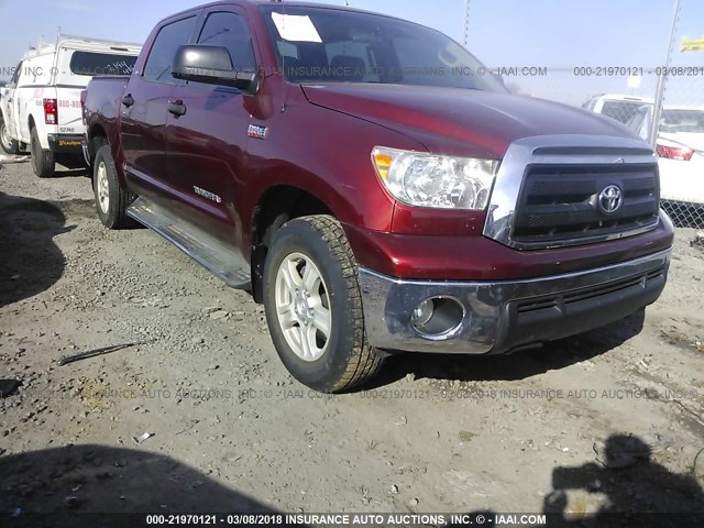 5TFDW5F15AX107647 - 2010 TOYOTA TUNDRA CREWMAX SR5 MAROON photo 1