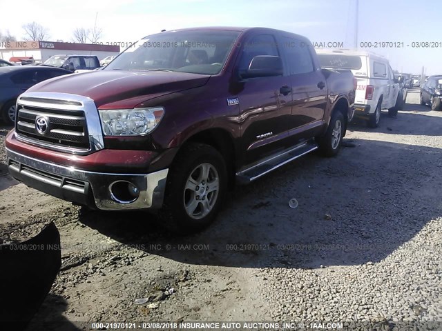 5TFDW5F15AX107647 - 2010 TOYOTA TUNDRA CREWMAX SR5 MAROON photo 2