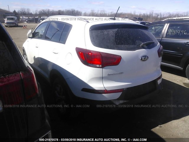 KNDPBCAC2F7720953 - 2015 KIA SPORTAGE LX WHITE photo 3