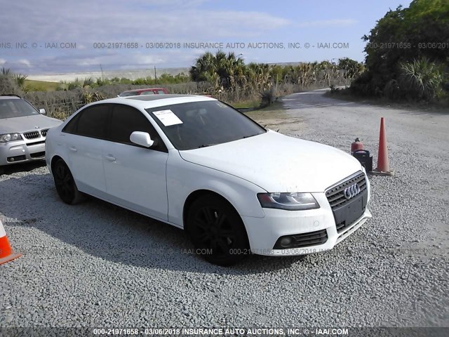 WAUAFAFL5BN048638 - 2011 AUDI A4 PREMIUM WHITE photo 1