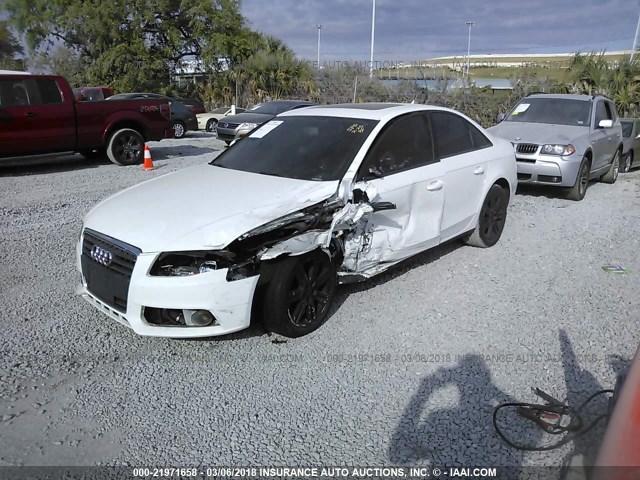 WAUAFAFL5BN048638 - 2011 AUDI A4 PREMIUM WHITE photo 2