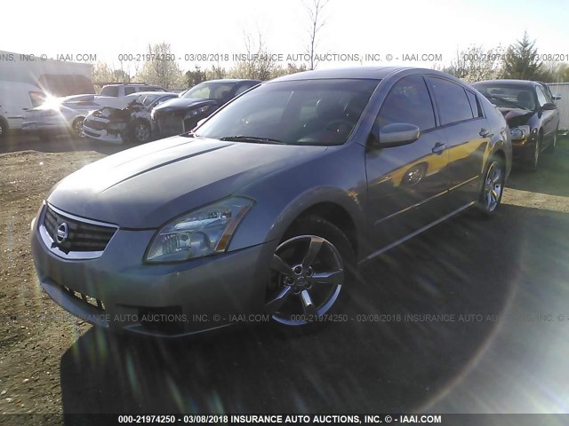 1N4BA41E38C806700 - 2008 NISSAN MAXIMA SE/SL GRAY photo 2