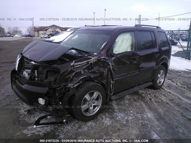 5FNYF48489B045332 - 2009 HONDA PILOT EX MAROON photo 2