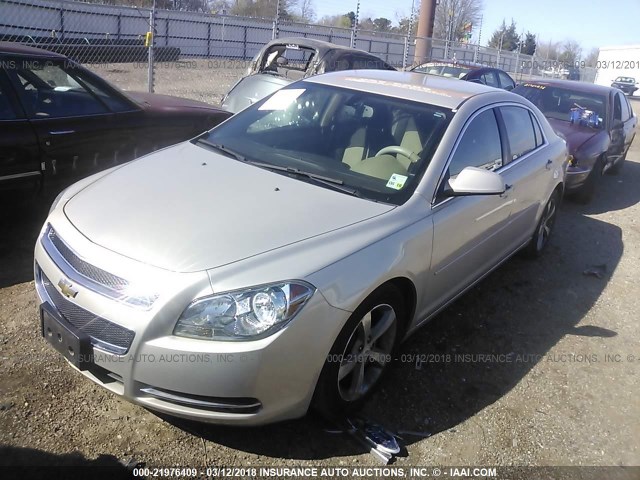 1G1ZC5EU2BF336913 - 2011 CHEVROLET MALIBU 1LT 棕色 照片 2