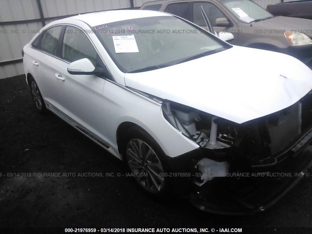 5NPE34AF6HH445574 - 2017 HYUNDAI SONATA SPORT/LIMITED WHITE photo 1